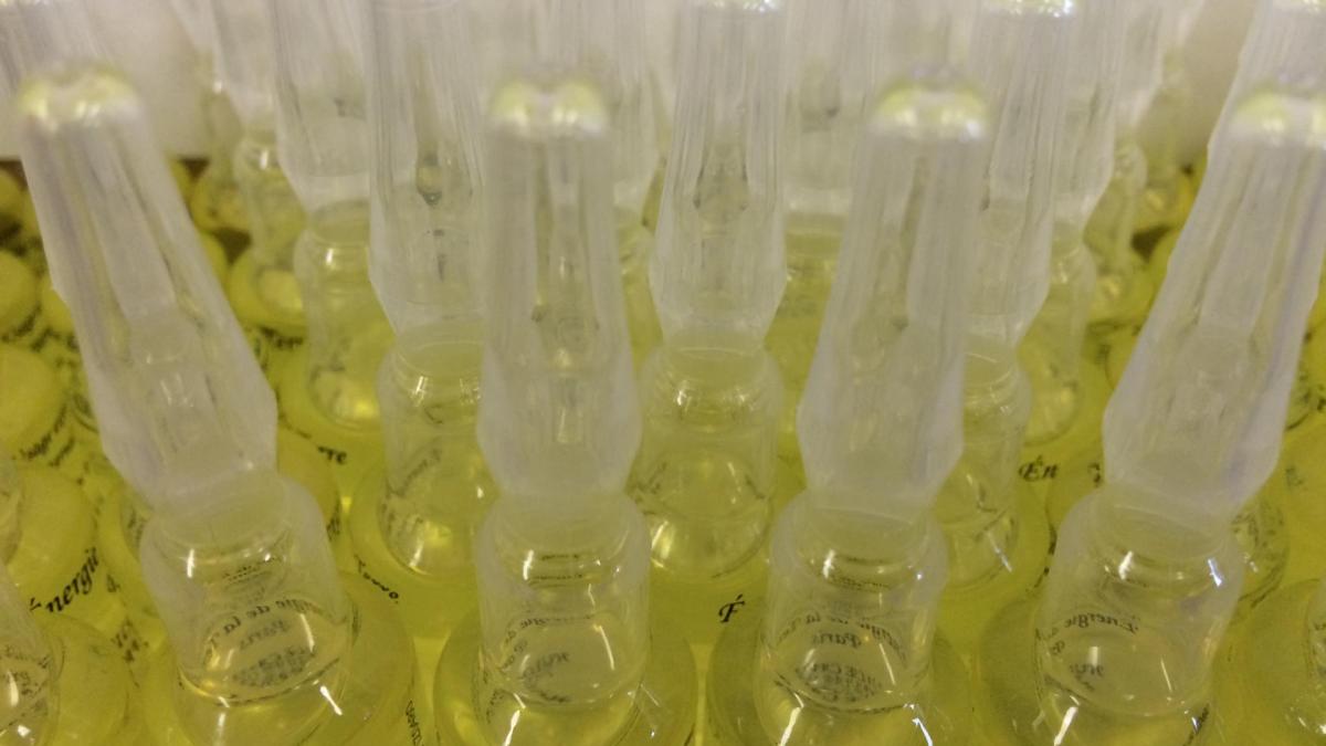 Ampoules plastique