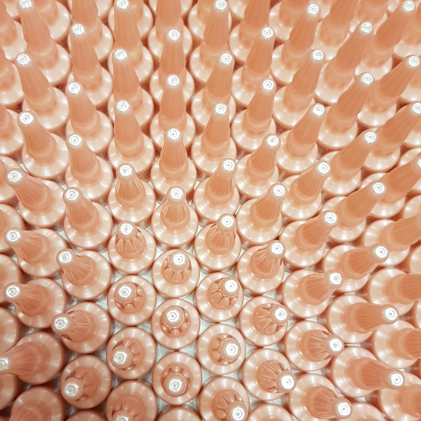 Germandre ampoules plastiques